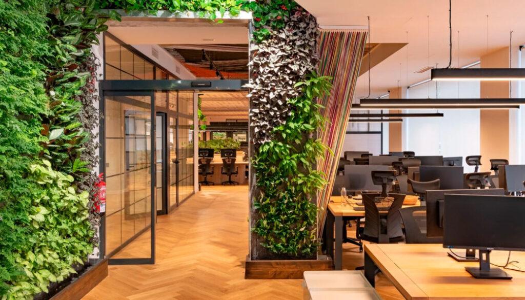 Design-biofílico-no-ambiente-corporativo