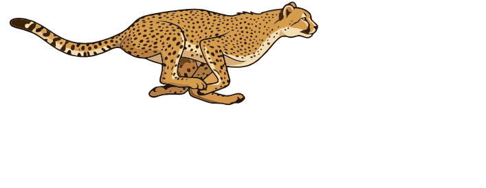 Laurenz Marketing Digital em Joinville